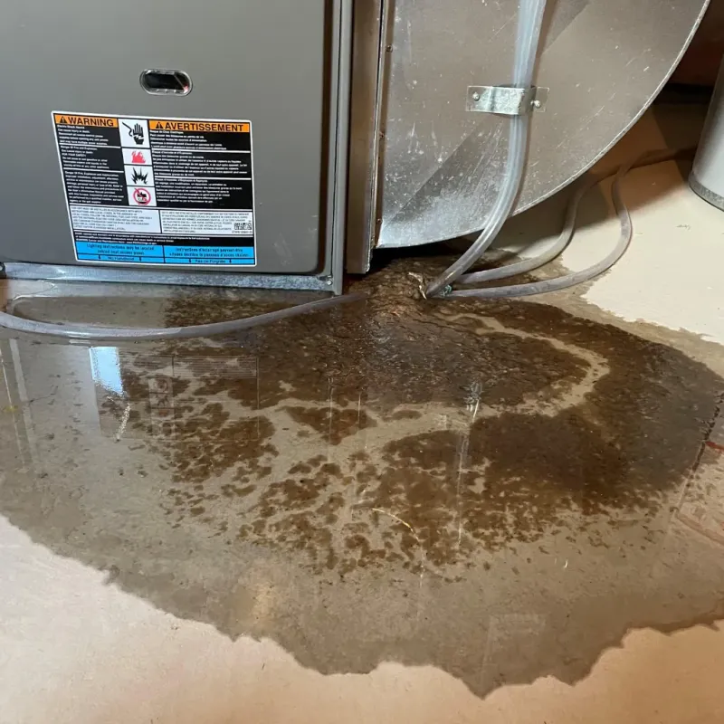 Appliance Leak Cleanup in Roessleville, NY